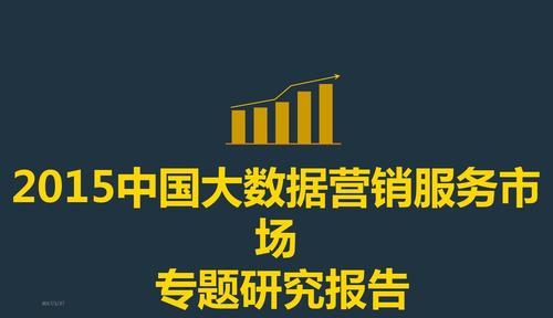 2017年互联网大数据营销服务行业分析研究报告ppt模板课件